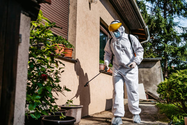 Best Flea Control Services  in Nneconne, WI