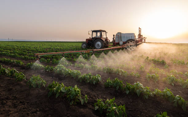 Reliable Winneconne, WI Pest Control Solutions