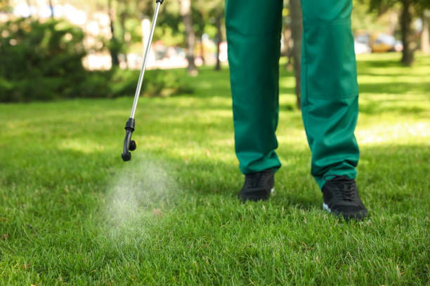 Best Pest Removal Services  in Nneconne, WI