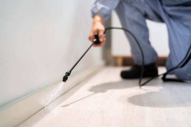 Best Termite Control Services  in Nneconne, WI