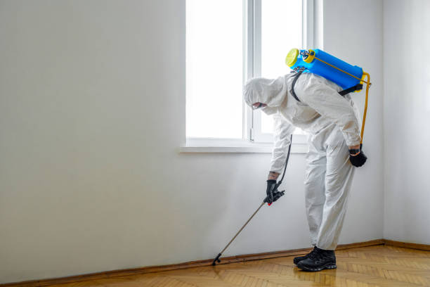 Best Wildlife Control Services  in Nneconne, WI